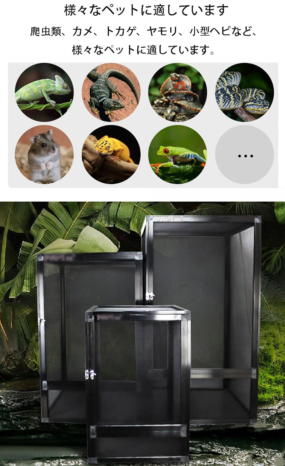 Amazon | 飼育ケース 昆虫ケース カブトムシ ケース トカゲ/ヘビ